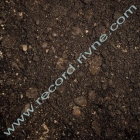 peat_black peat black