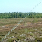 peat field
