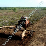 peat field